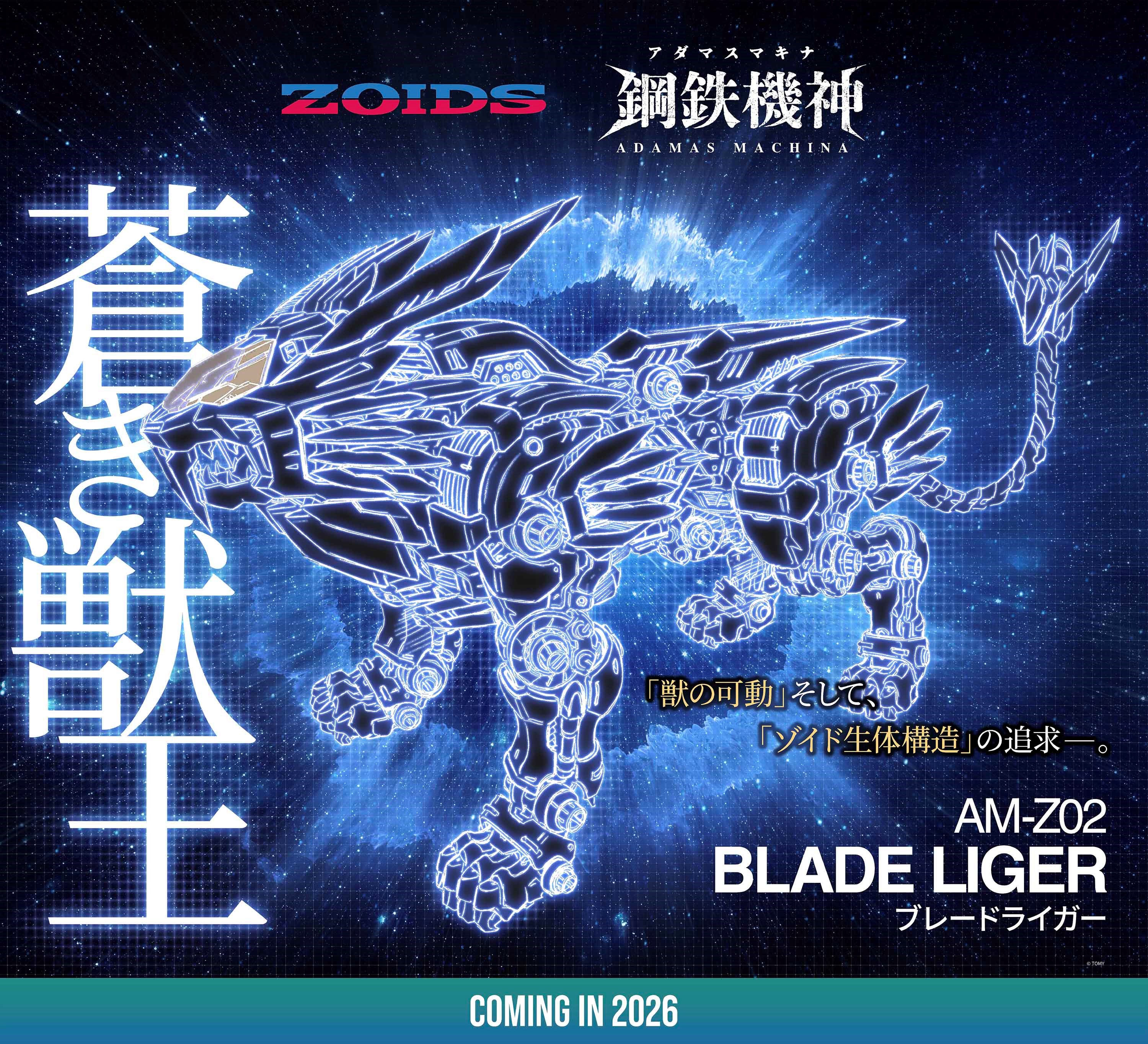 Timeless Dimension タイムレス ディメンション on X: 