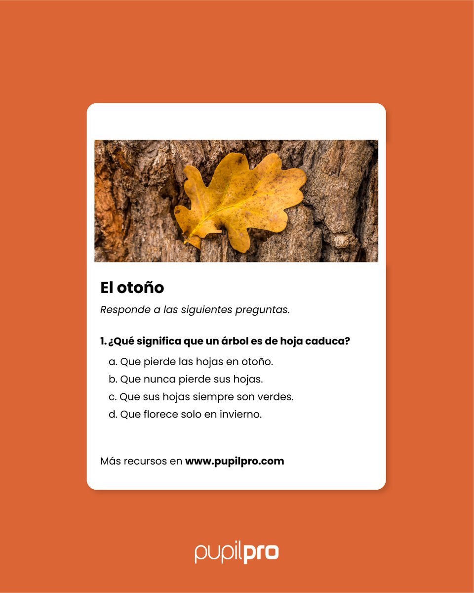 Pupilpro tweet media