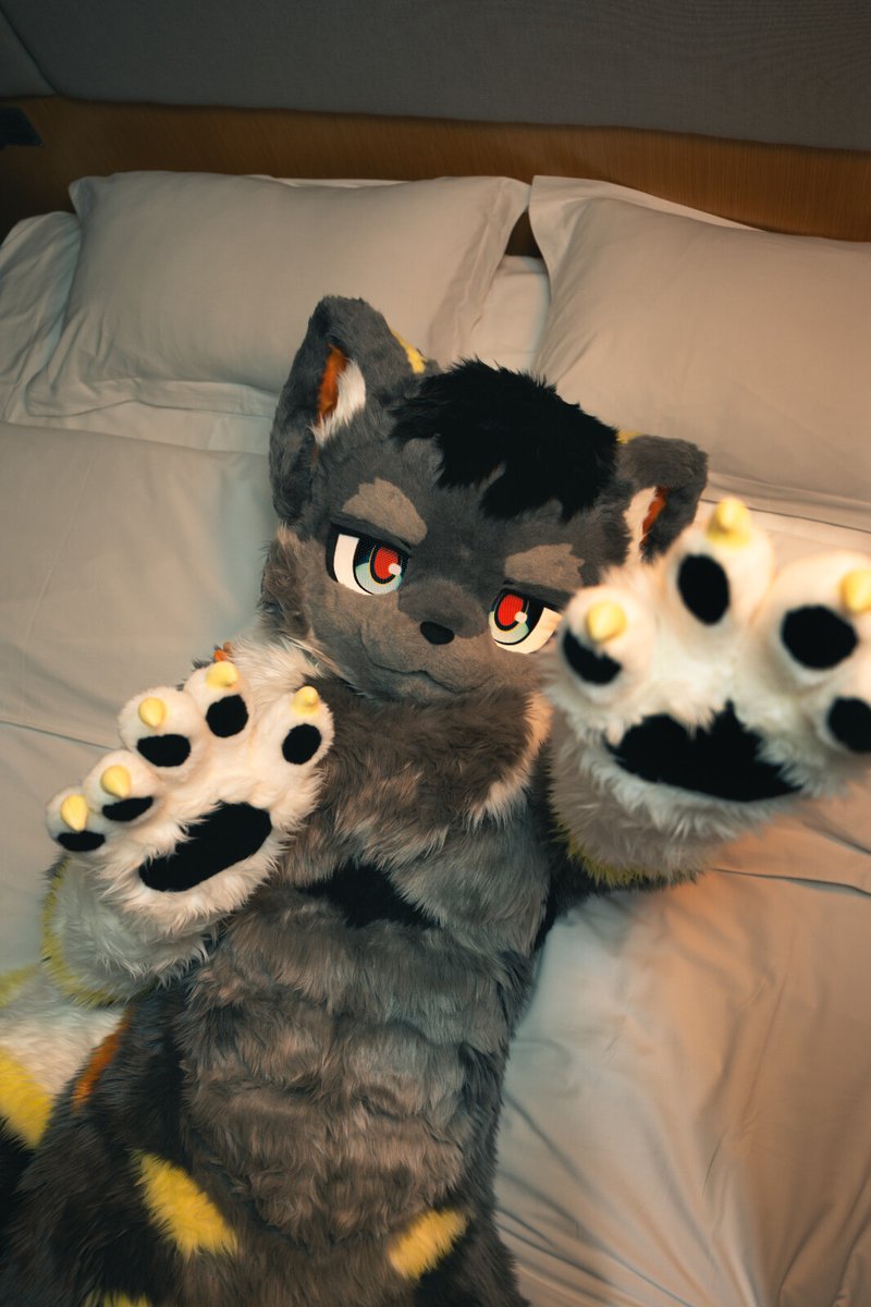 KKKanret's tweet image. #FursuitFriday
仮面下は犬 🐕

📸:@GreenApple_737