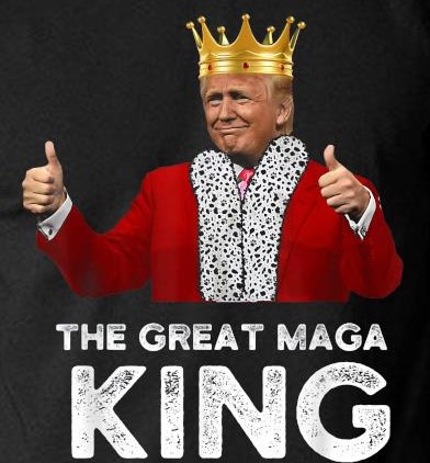 Trigger a lib Friday! 👑
Lets see your King Trump post