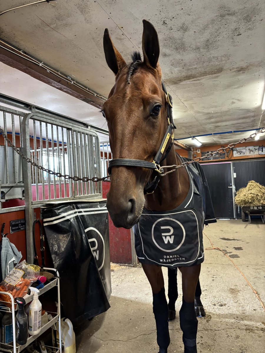 Östersund 16 oktober vinnare lopp 8, Soulmate Pellini!

Segertid: 14,0a 2140m
Ägare: KB Capulus Horses
Skötare: Lisa Gilljam