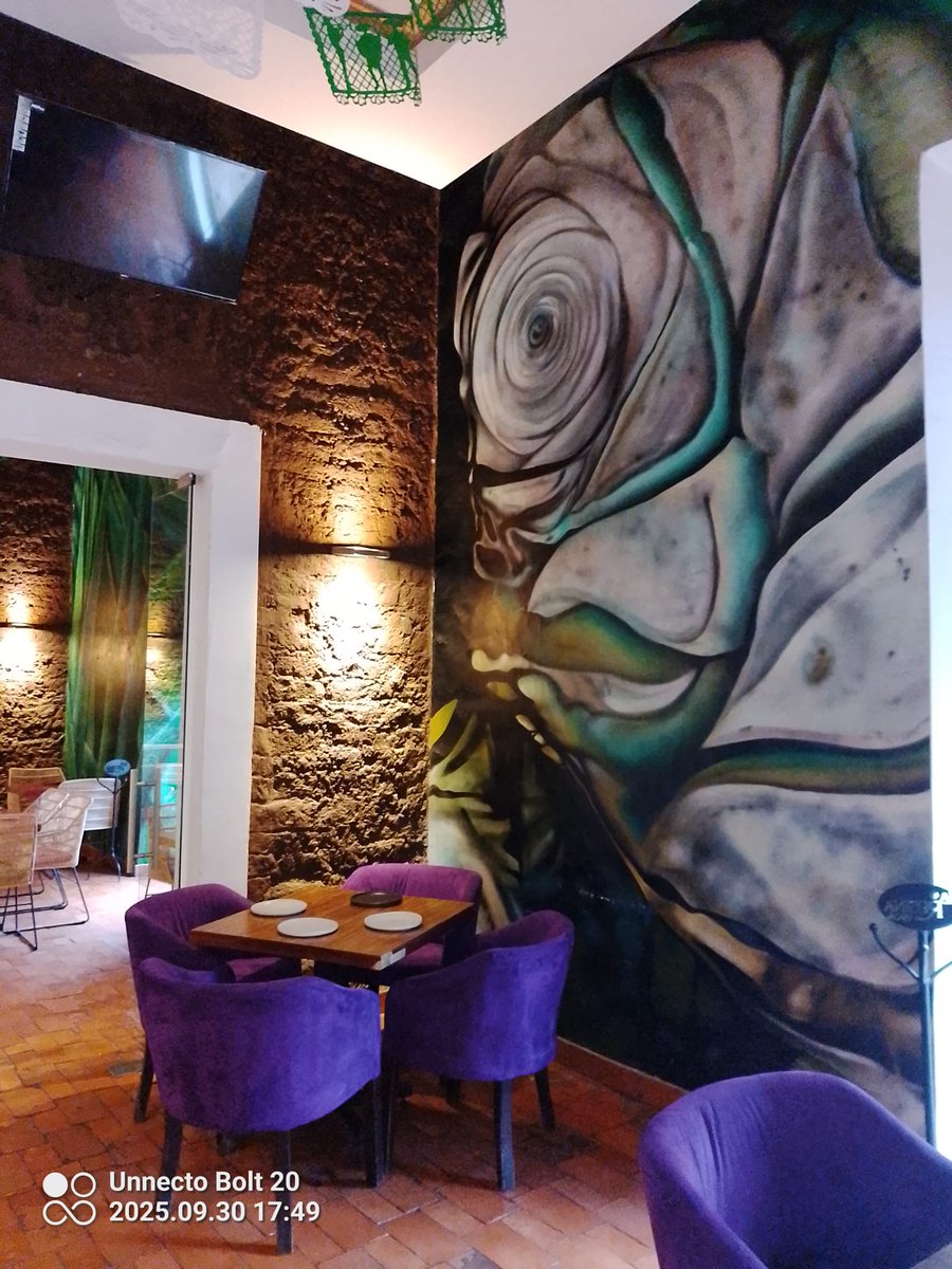 Unnecto's tweet image. Every color tells a story. 

Shot on #UnnectoBolt20 — clarity that stands out.

#TechVibes #BoltSeries #Unnecto