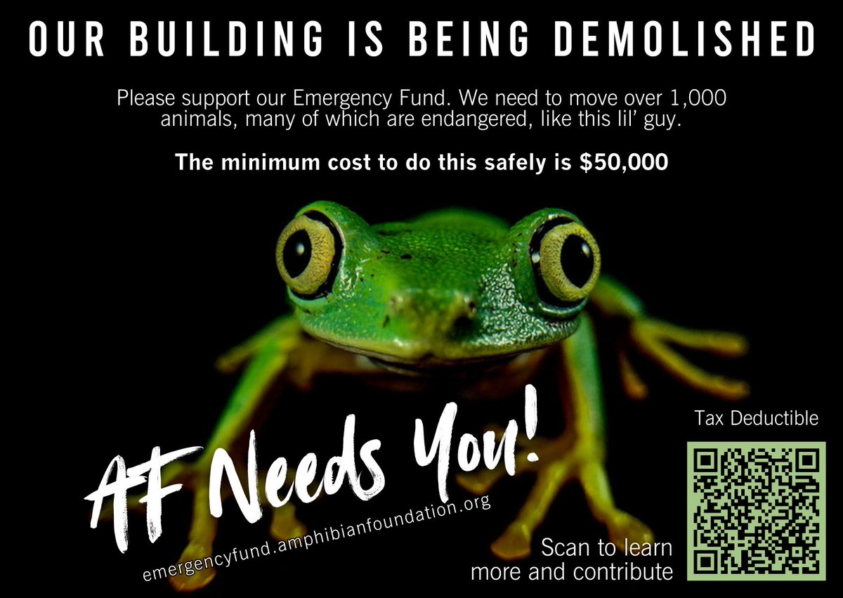 stickyfrogs's tweet image. The @amphibianfound building is being demolished &amp;amp; they need help to move 1000 animals including critically endangered frogs. $1 from every 2026 Stickyfrogs Calendar will be donated to their Emergency Fund! You can also donate directly, Sponsor A Critter or help out on moving day