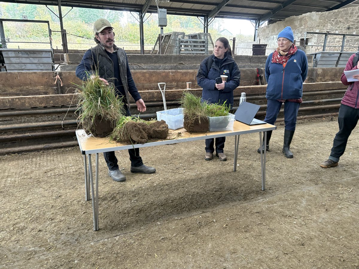 Aln Angus - Creating your future in beef tweet media