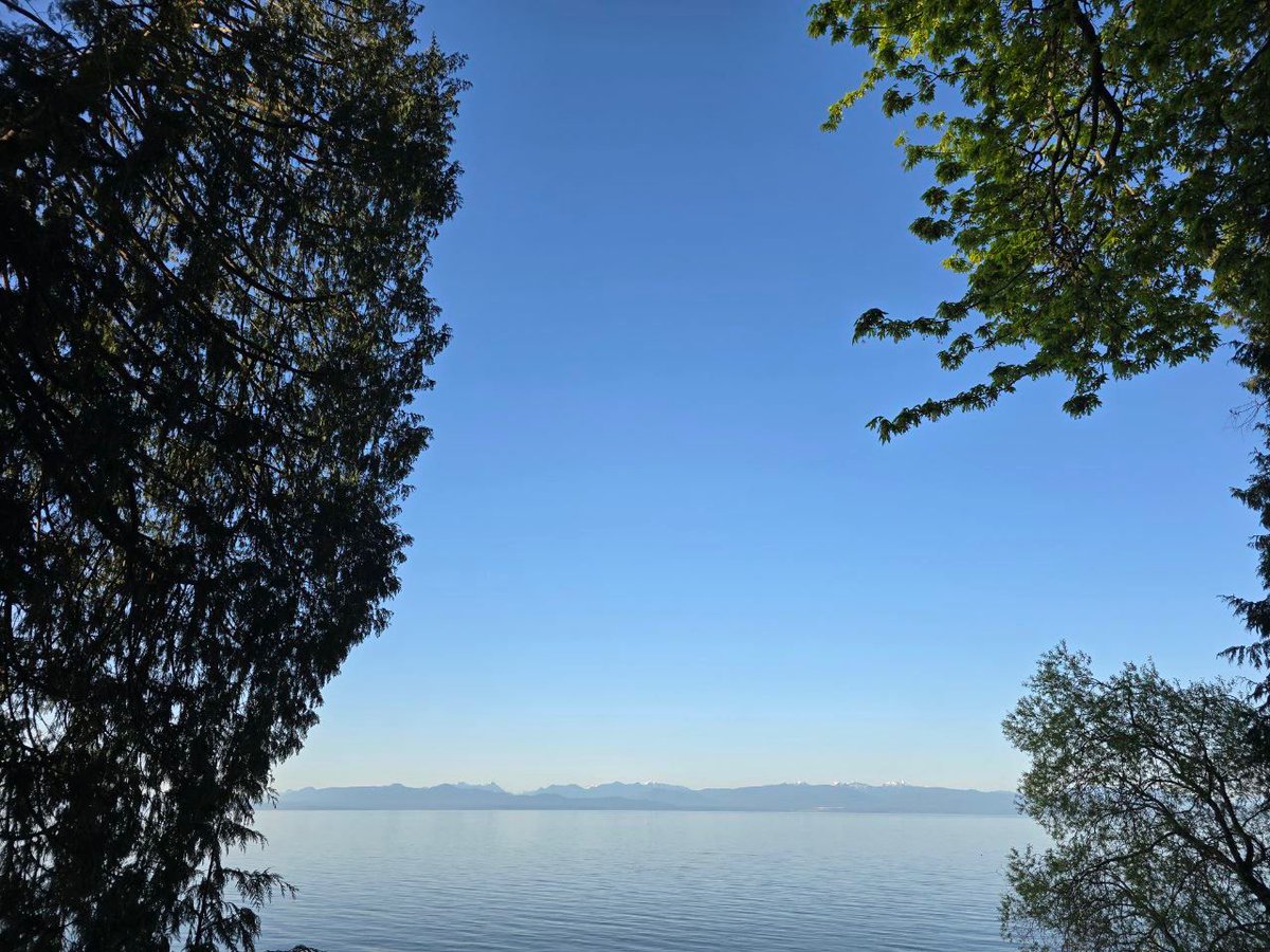 Davidhattt's tweet photo. I love the ocean 🌊 https://t.co/gkk9wHBH3X