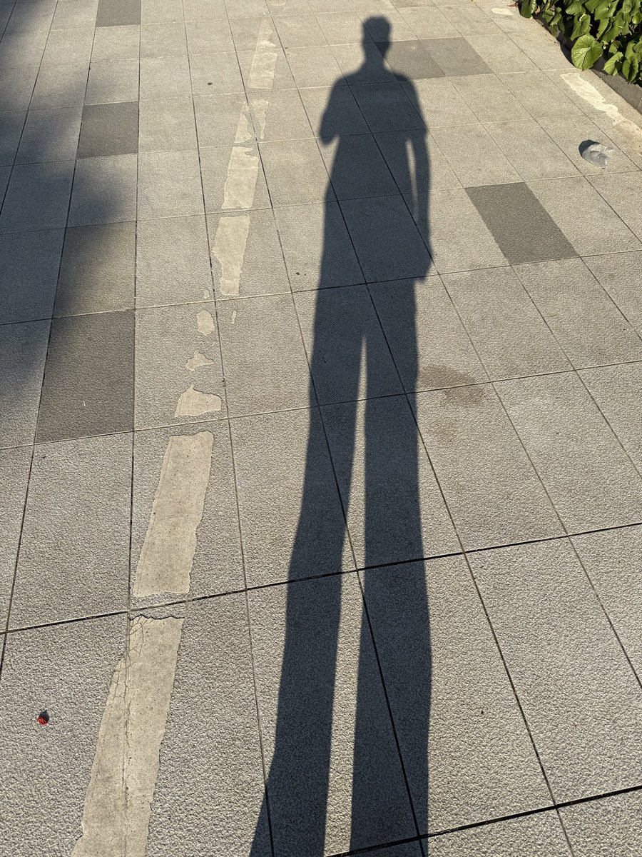 MrMirror2l's tweet photo. 看我的超级大长腿😆 https://t.co/JqWNx4kAjT