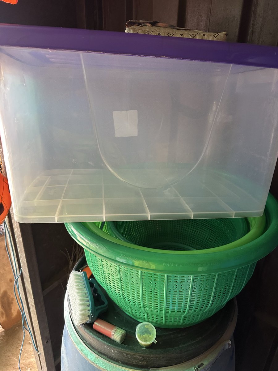 JARIAT (@glitzy_jay) on Twitter photo 