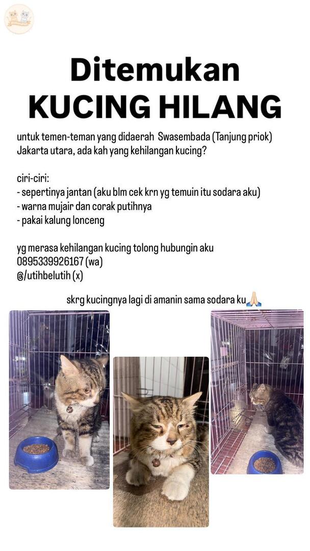 KochengFess v2 tweet media
