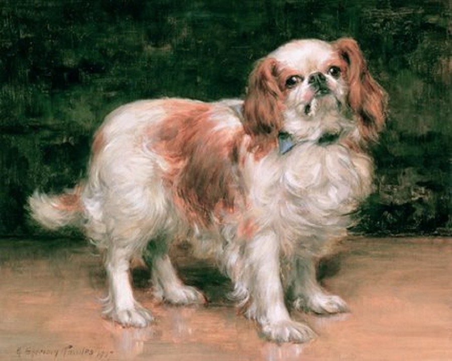 CAVALIERS IN ART: “Rey Charles spaniel”, by Georges Antoine Rochegrosse (French, 1859-1938).
cavalierhealth #cavaliersinart #thedoginart