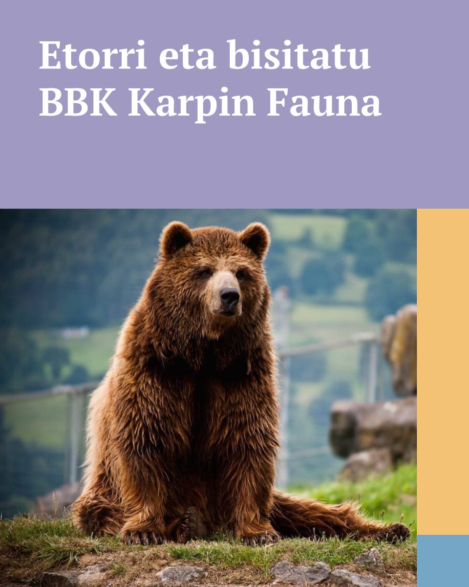 🦉 Ezagutzen duzu BBK Karpin Fauna?

55 espezie baino gehiagori bigarren aukera bat ematen dien babeslekua da. Horren bidez, milaka ikasle naturarekiko errespetuan hezten dituzte. 🌱
Zure zain izango gaituzu asteburu honetan!

🔗 bbkkarpinfauna.eus/eu/

#BBKKarpin #FamiliaPlanak