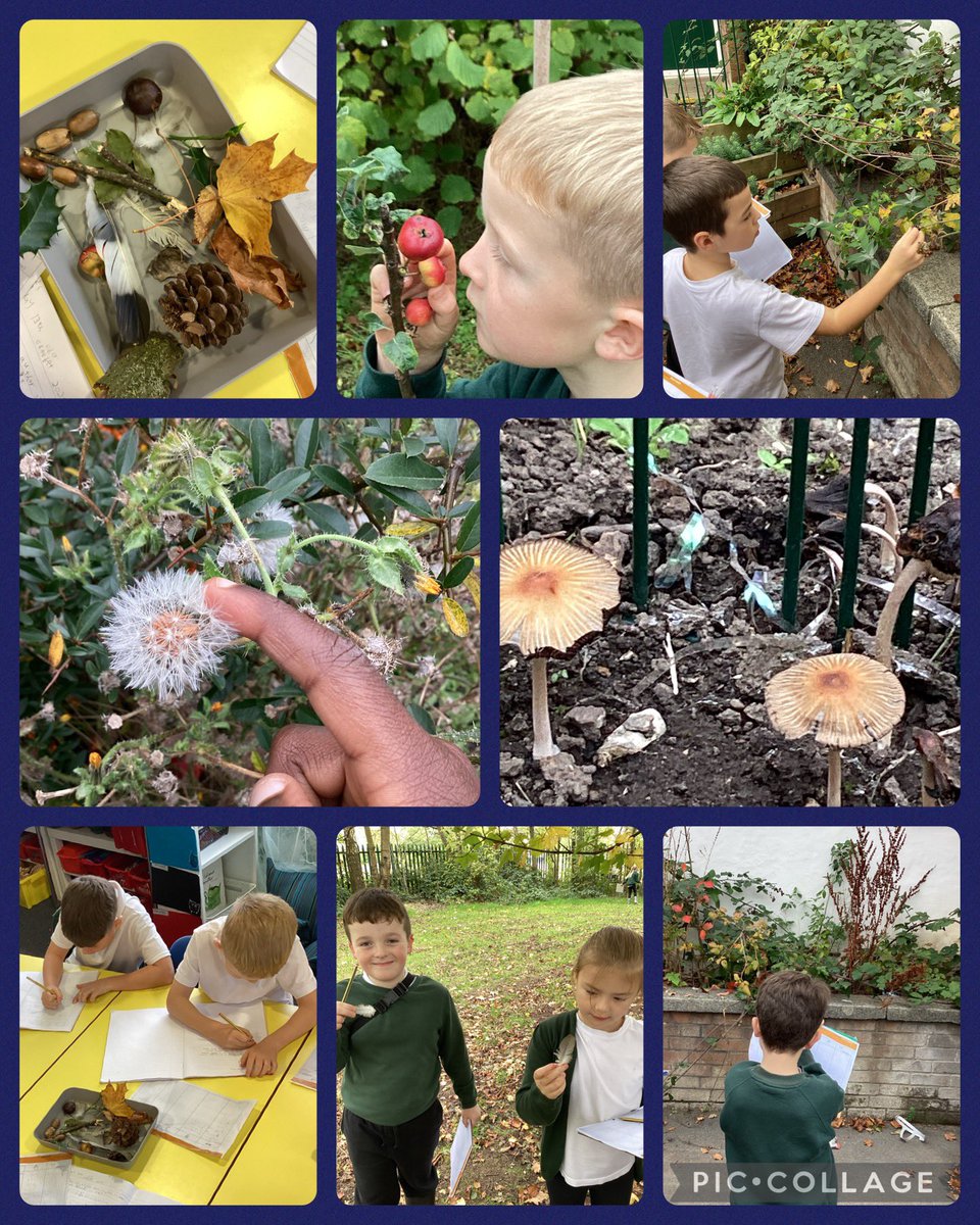Team Jade went on a nature walk using their senses. They then used what they had found to write noun phrases. These helped them to write their ‘Free Verse’ poetry. <a href="/TeamManorGreen/">Manor Green Primary #ReadyRespectfulSafe</a> <a href="/FocusTrust1/">Focus Trust</a>