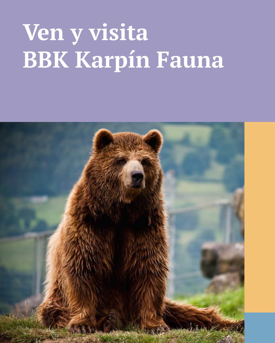 🦉¿Conoces BBK Karpín Fauna?

Un refugio que da una segunda oportunidad a más de 55 especies a través del cual, educan a miles de escolares sobre el respeto a la naturaleza. 🌱

¡Te esperamos este fin de semana!

🔗 bbkkarpinfauna.eus

#BBKKarpin #PlanesEnFamilia