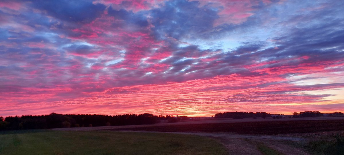 Jack Danen tweet media