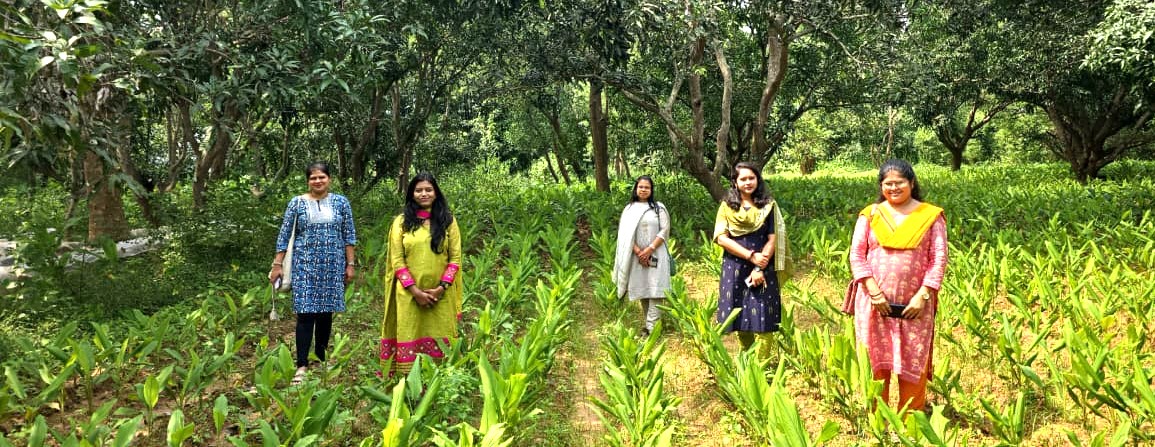 CYSDOdisha's tweet image. 15 OAS trainees explored CSO-led participatory development in tribal regions of Mayurbhanj & Keonjhar. Engaged with PVTGs, PRIs & community institutions—gaining insights on grassroots governance, convergence & inclusive growth.
#OASTrainees #CSOs #PVTG #InclusiveDevelopment
