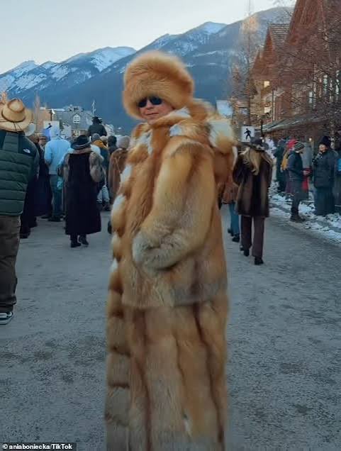 CAROLINE KELLY | new york tweet media