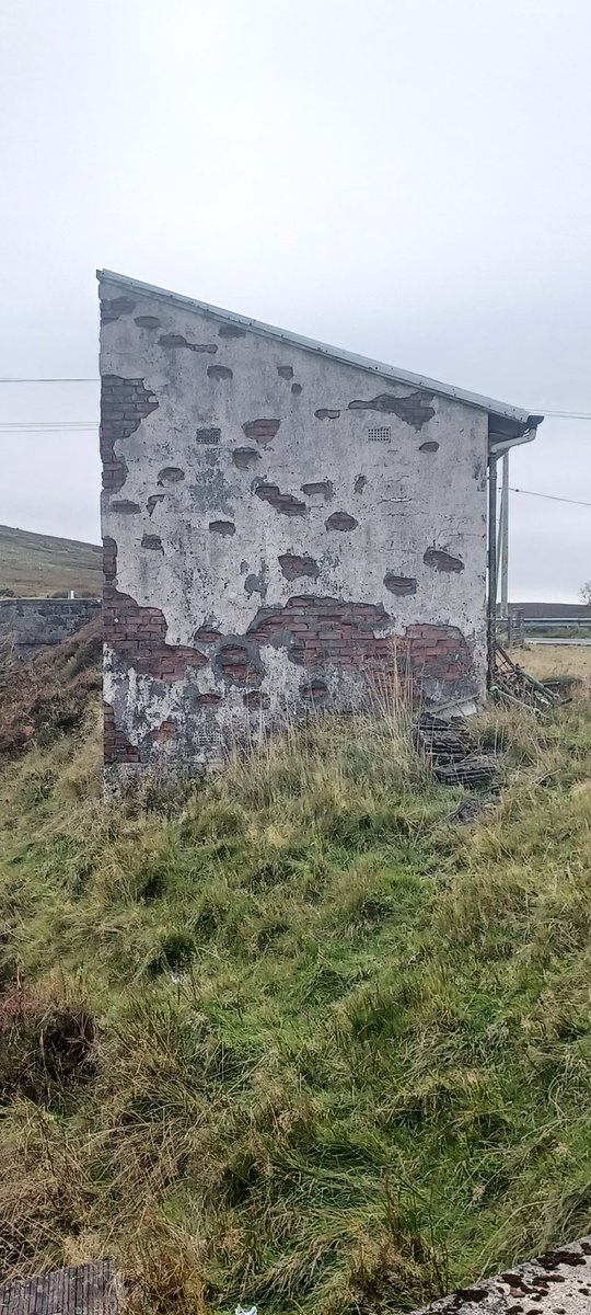 D L Z (@dlzfilms) on Twitter photo 