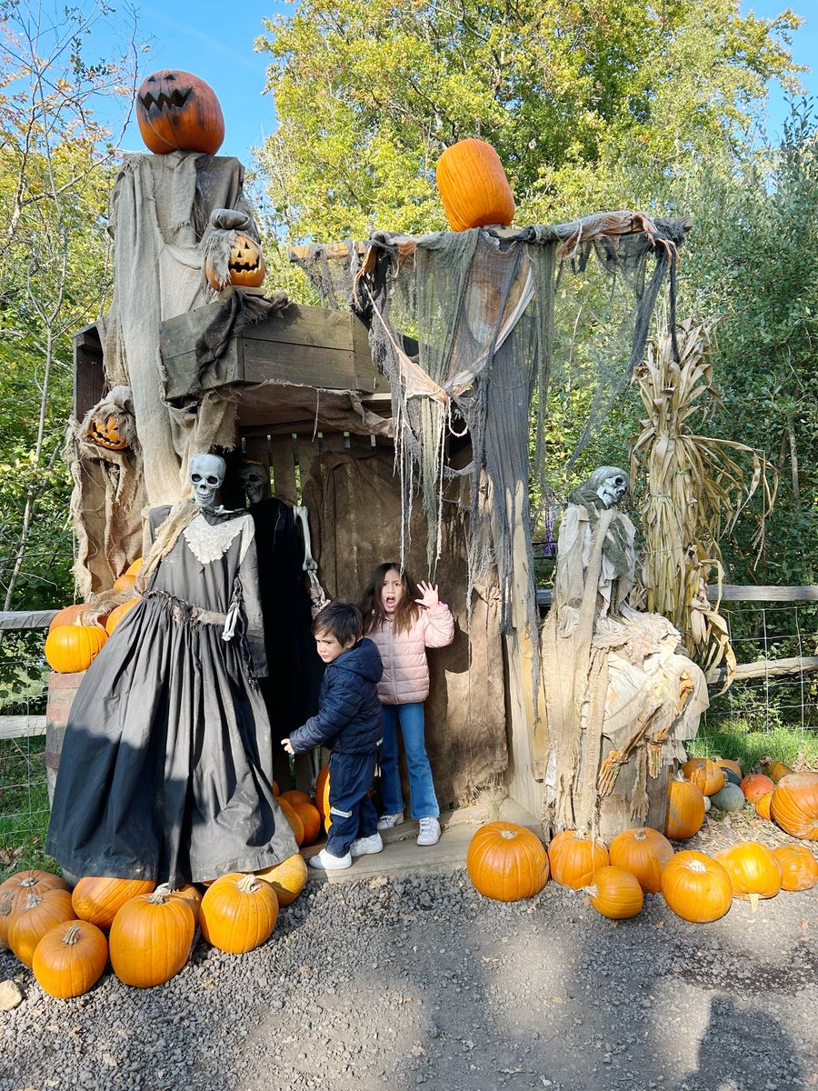 lorelei marfil day tweet media