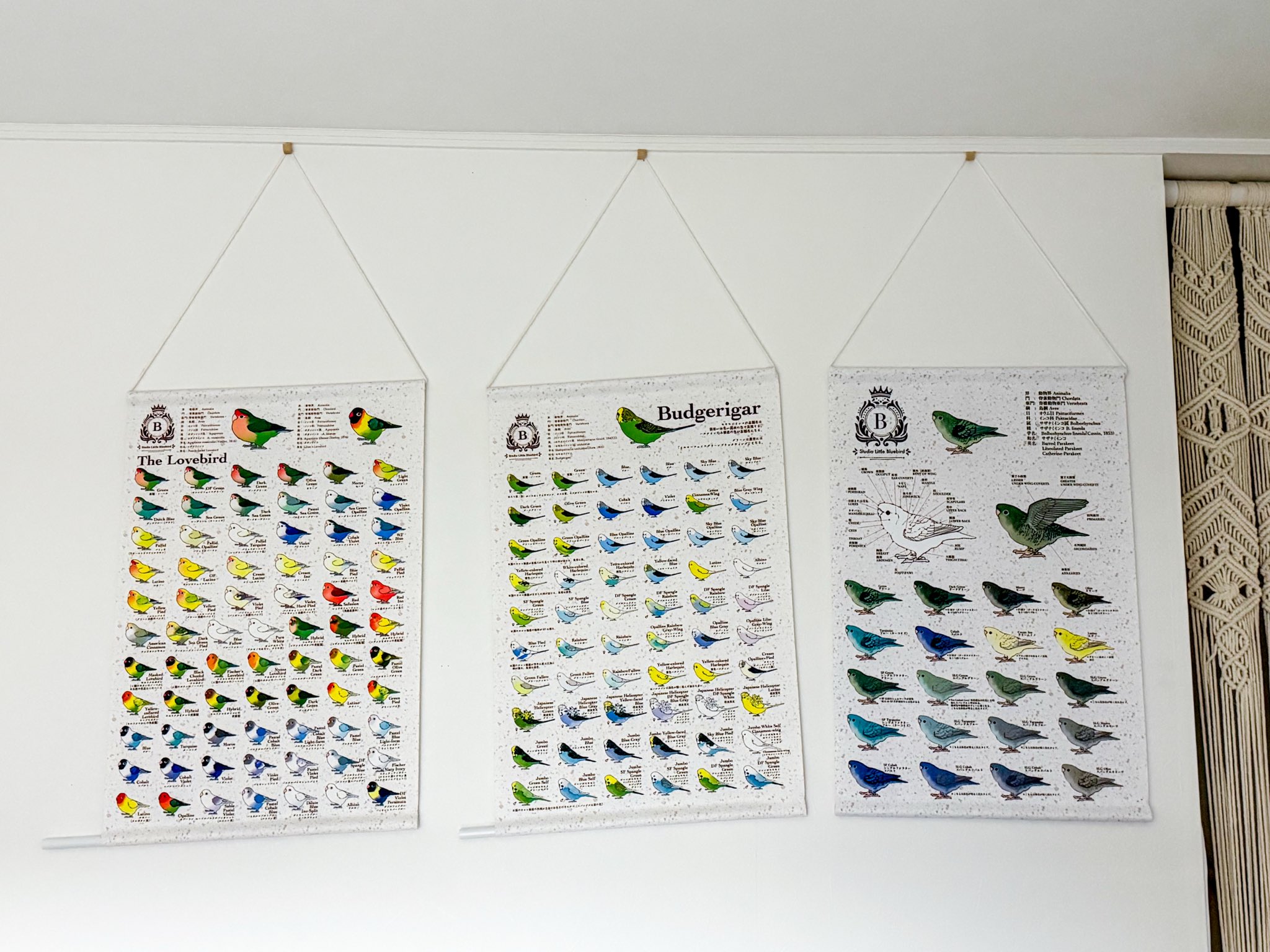 ことりページ ことり🐤新刊発売中 (@mamakyoja) / X