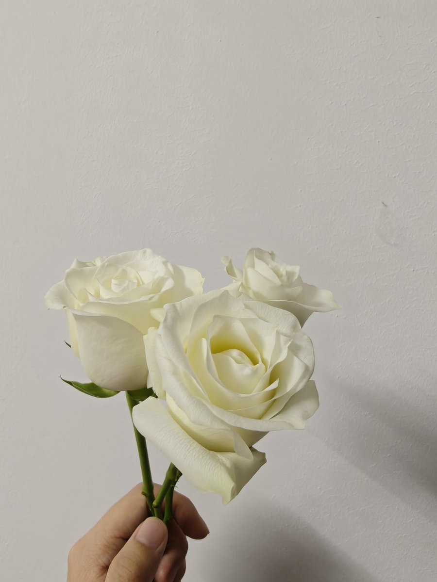 New Project tweet media