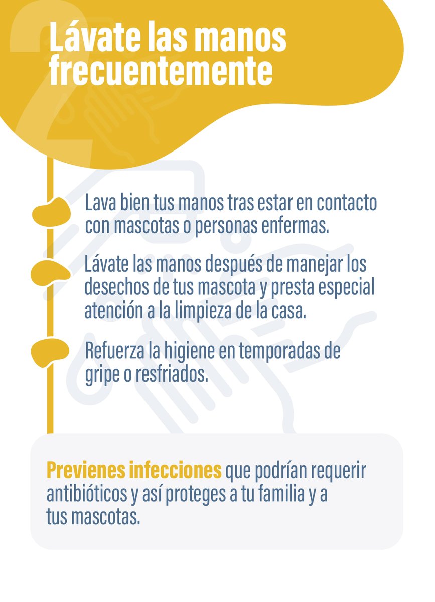 Plat_OneHealth's tweet photo. 👋 La #RAM #ResistenciaAntibióticos es una pandemia silenciosa que podemos combatir con gestos tan sencillos como lavarnos las manos con frecuencia 
👉 Y es que las bacterias se pueden transmitir entre humanos y animales, también en casa.

Más acciones ↪️ https://t.co/hUfv4XGe8q https://t.co/JVN2Fjc2Fe