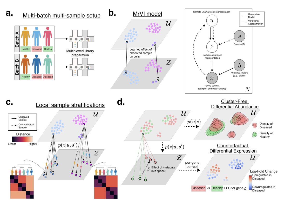 Machine learning meets cohort-scale single-cell biology

Modern single-cell technologies can now capture millions of cells from hundreds of people, tissues, and treatments. Yet most analyses still rely on averages—collapsing data into per-sample summaries or predefined clusters