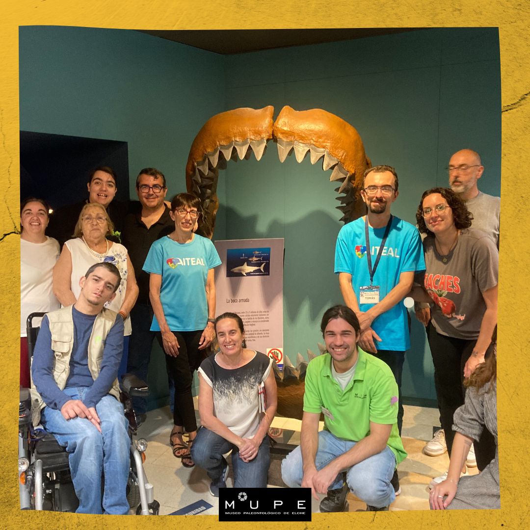 Museo Paleontológico tweet media