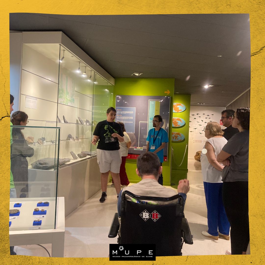 Museo Paleontológico tweet media