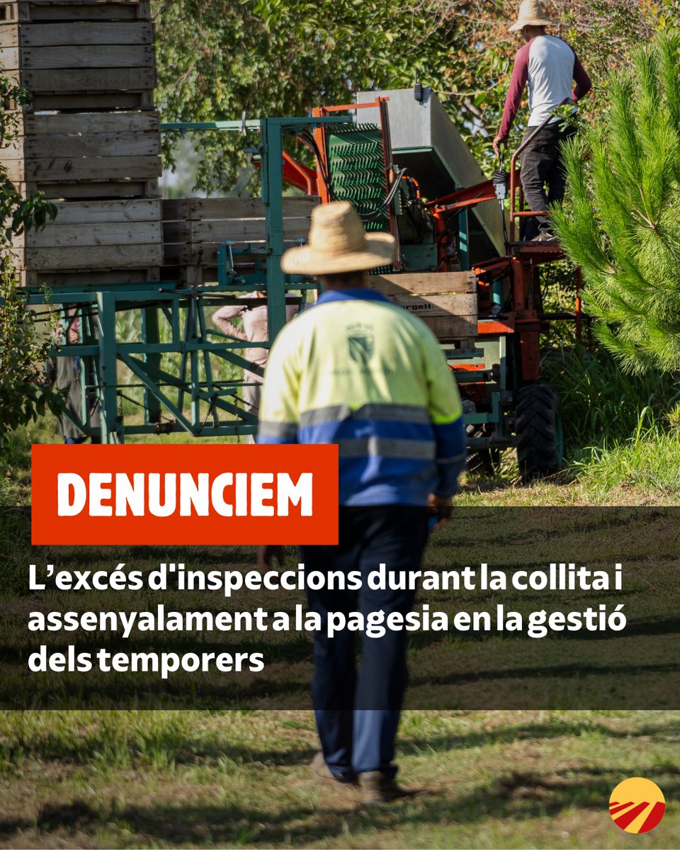 🍑 Tot i una campanya amb menys fruita per culpa del clima i les malalties, els preus han tornat a baixar.

🚨 Denunciem l’excés d’inspeccions i el senyalament constant a la pagesia, especialment durant la gestió dels temporers.

🍐 Només la pera manté el rendiment.