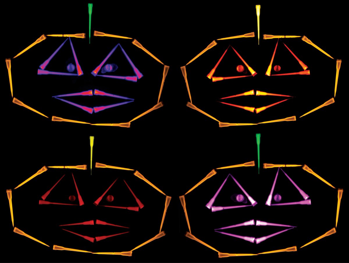 Erik A. Rodriguez tweet media