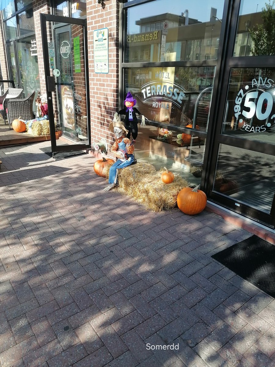 DaoudSomar's tweet image. #photograghy #photographer #phototwitter #throughmyeyes #thingsisee #beautiful #sreetphotography #haloween #Montreal 🇨🇦