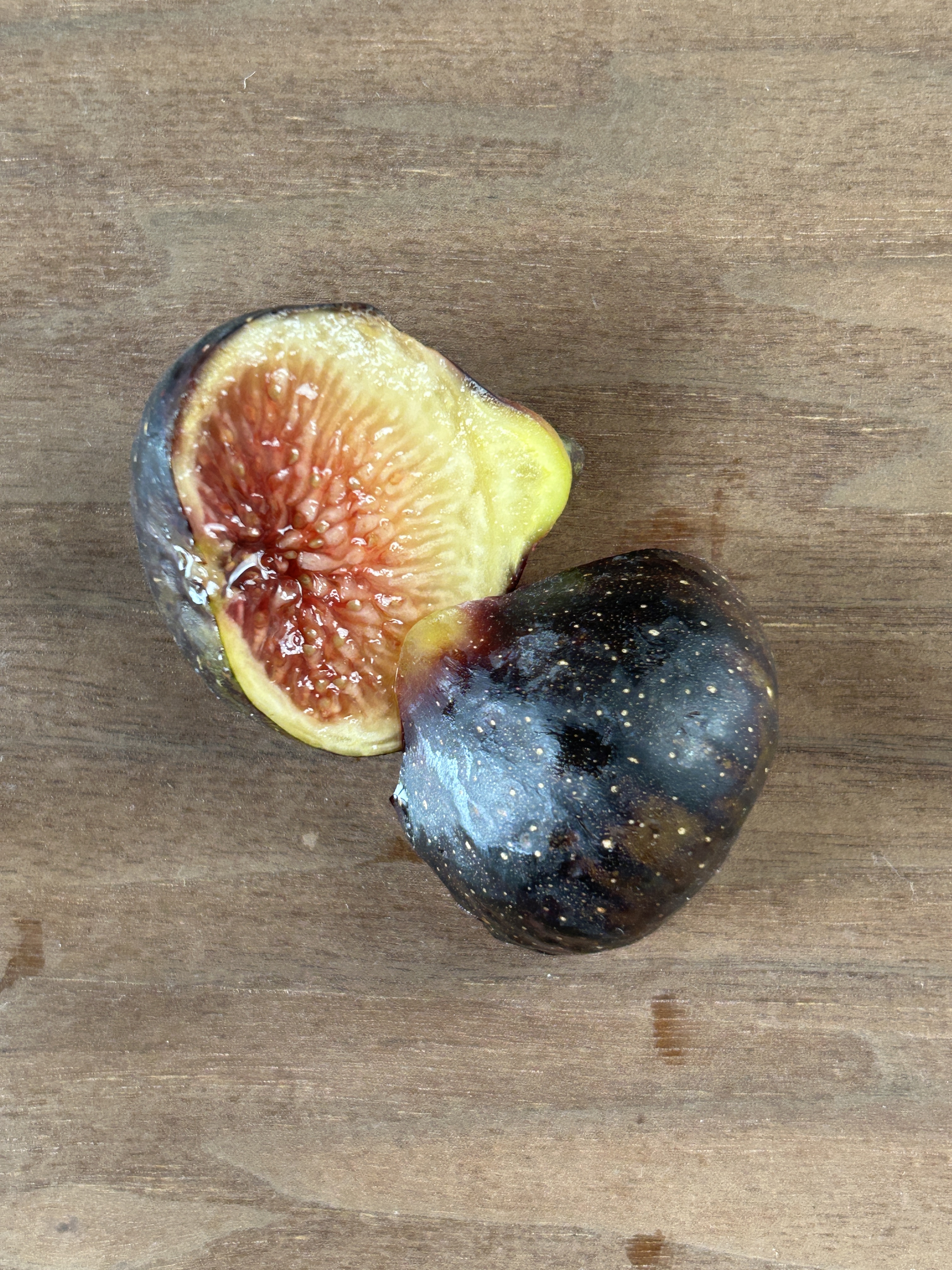 FIG課長　Hivernenca Blanca穂木２本分 Yahoo!オークション -「穂木」(花、園芸) の落札相場・落札価格