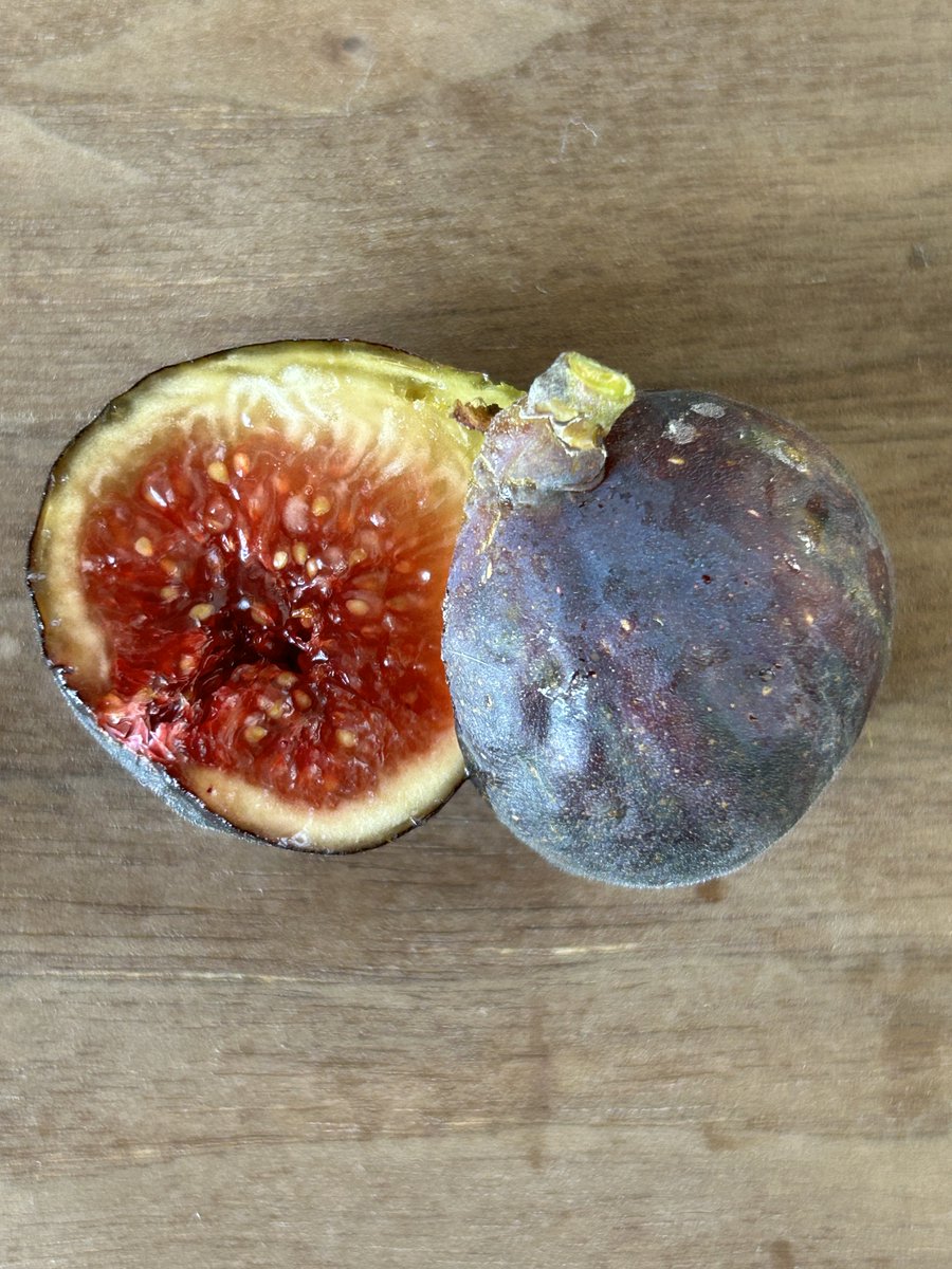 Fig & Berry Collection (@garden_fig) / Posts / X