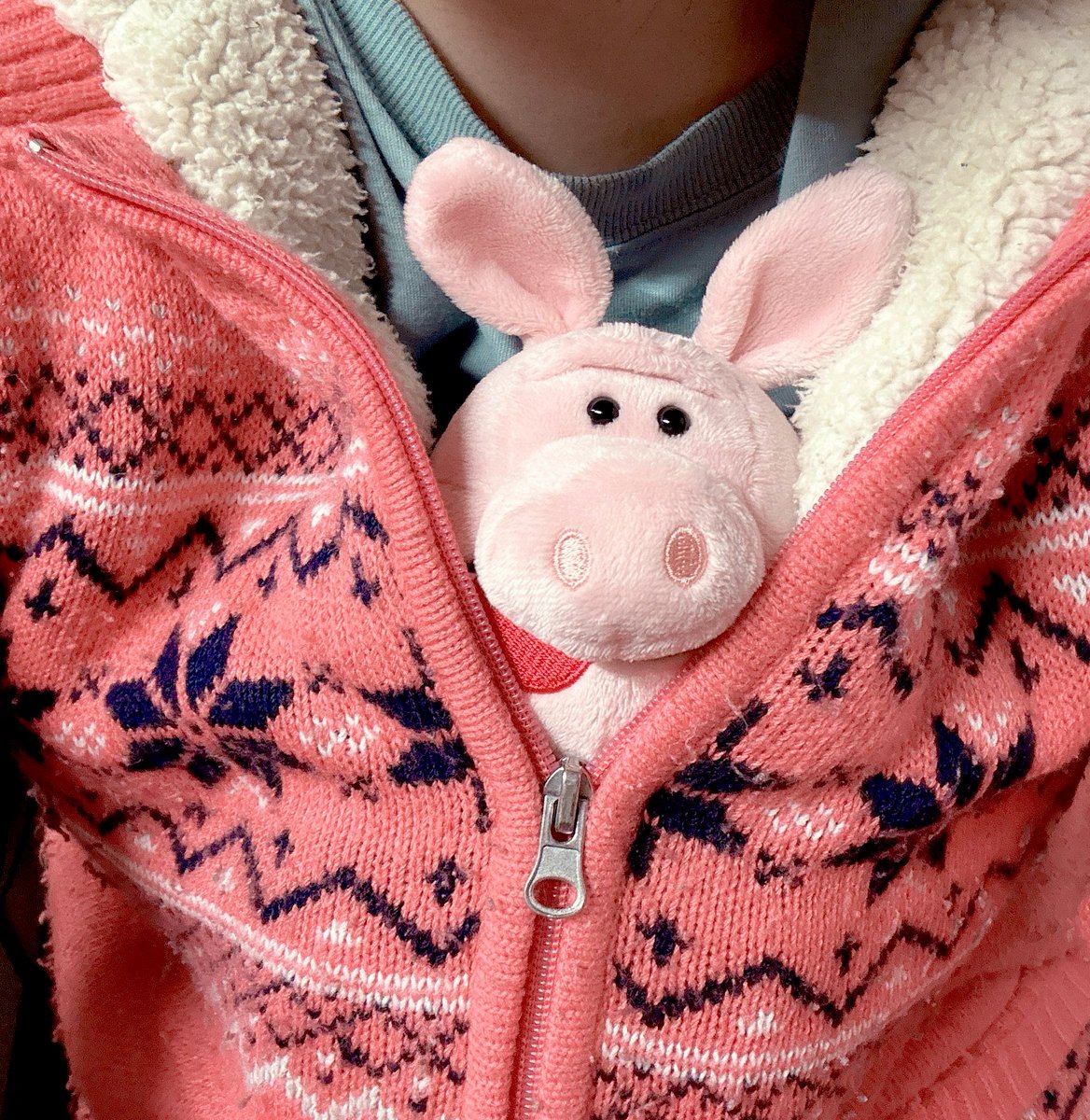 oz_cmny's tweet photo. ・🐽・ https://t.co/unfka7nKu2