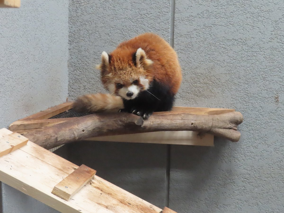 きょーやん (@DqIFn5c3IbVg7zA) / Posts / X