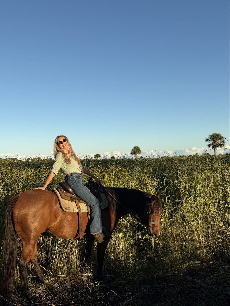 one bald eagle, two horses, 75 degrees, a million swamp sunflowers, my momma, and me. 🐎 🌼 we caught the tail end of the bloom this season, and it was pure wild Florida magic.
