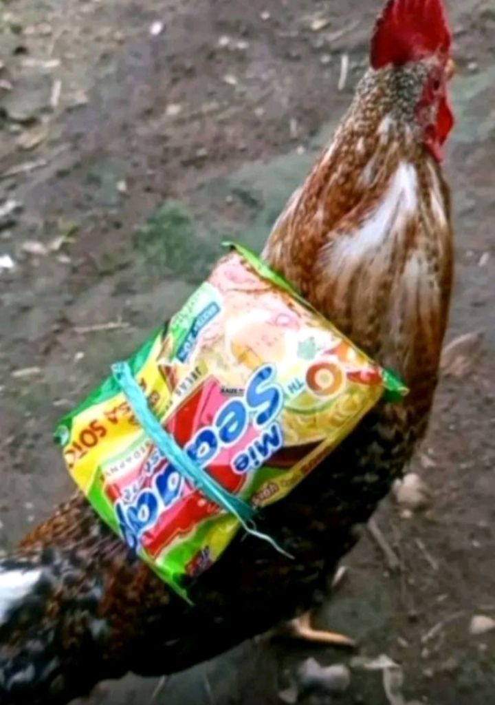 kayyin's tweet photo. @BudapestInn “Sebelum kita mulai acara, ada beberapa makanan &amp; minuman yang udah di siapin sama pelayan kita. Jangan malu buat bolak-balik, yeu kaya gak pernah malu maluin aja.. kalau piring pertama masih kurang nambah lagi! Selamat menikmati, Losmenians.” https://t.co/ztds8cihz9