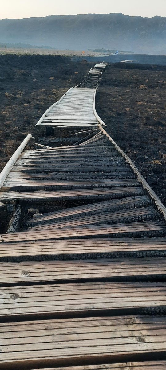 Ken Foxe tweet media