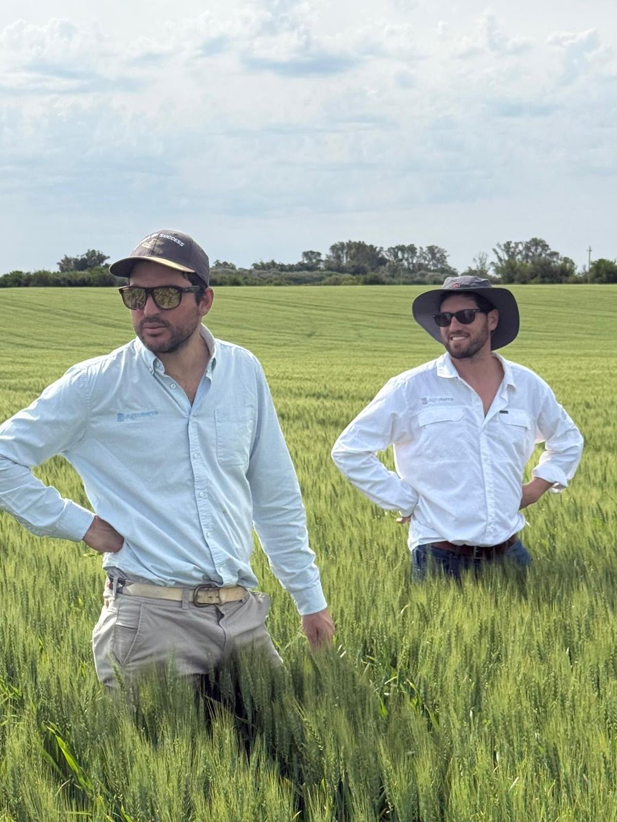 agroterrauy tweet media