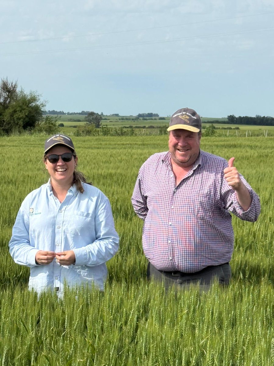 agroterrauy tweet media