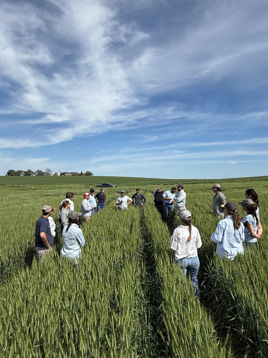 agroterrauy tweet media