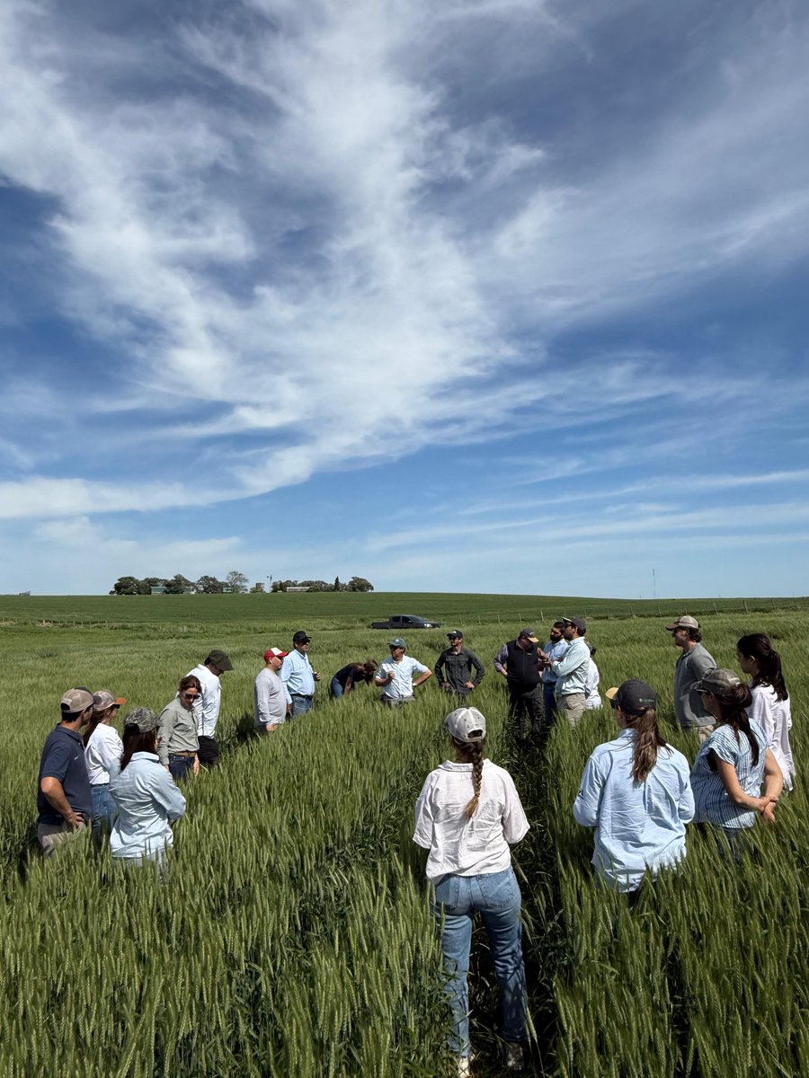 agroterrauy tweet media