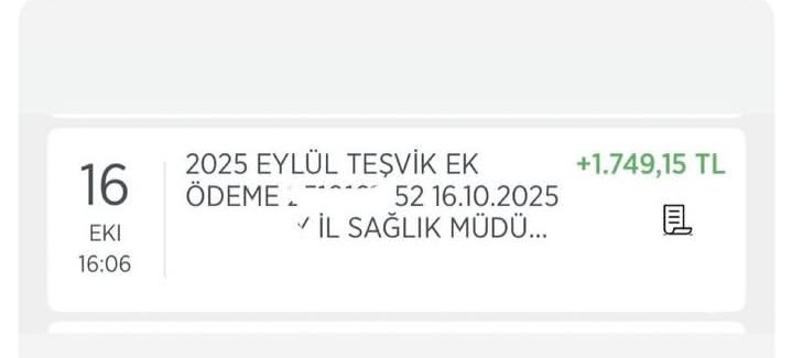 Teşvik, teşvik etmiyor artık...