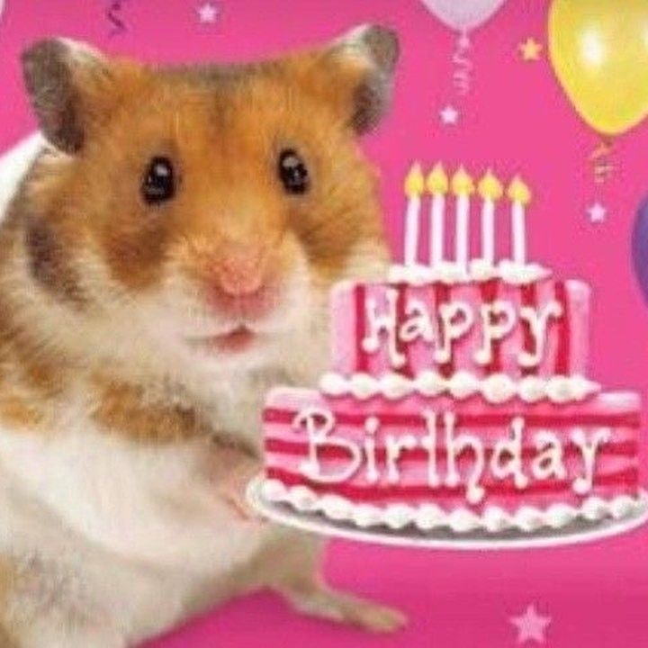 cherryjam4883's tweet photo. @DMC_ate_namorar Feliz aniversário https://t.co/3iOdRg1Mvh