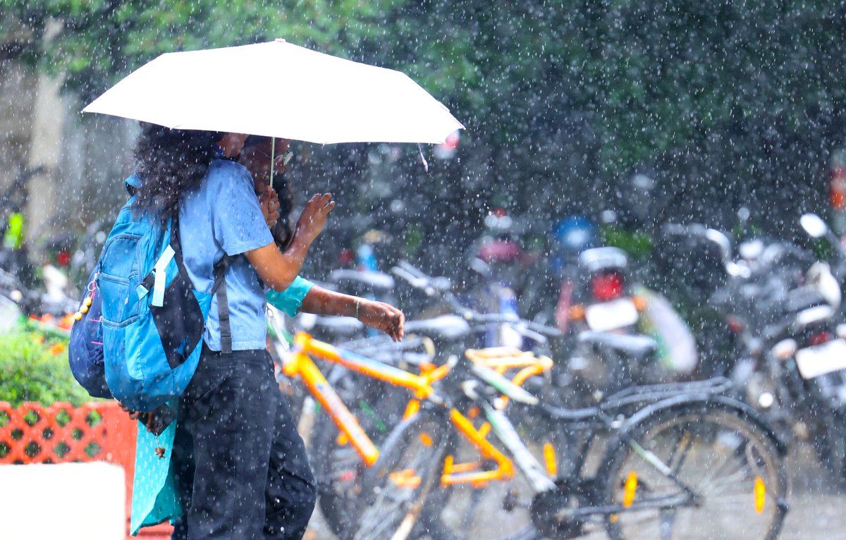 VIT_univ's tweet photo. Rain check: still beautiful. In between lectures and raindrops — moments that make VIT unforgettable.
#VIT #VelloreInstituteofTechnology #VITVellore #CampusDiaries #VITLife #VITMoments #MonsoonMood #CampusVibes #StudentLife #RainyDays #CollegeAesthetics https://t.co/aSQtrPUByR