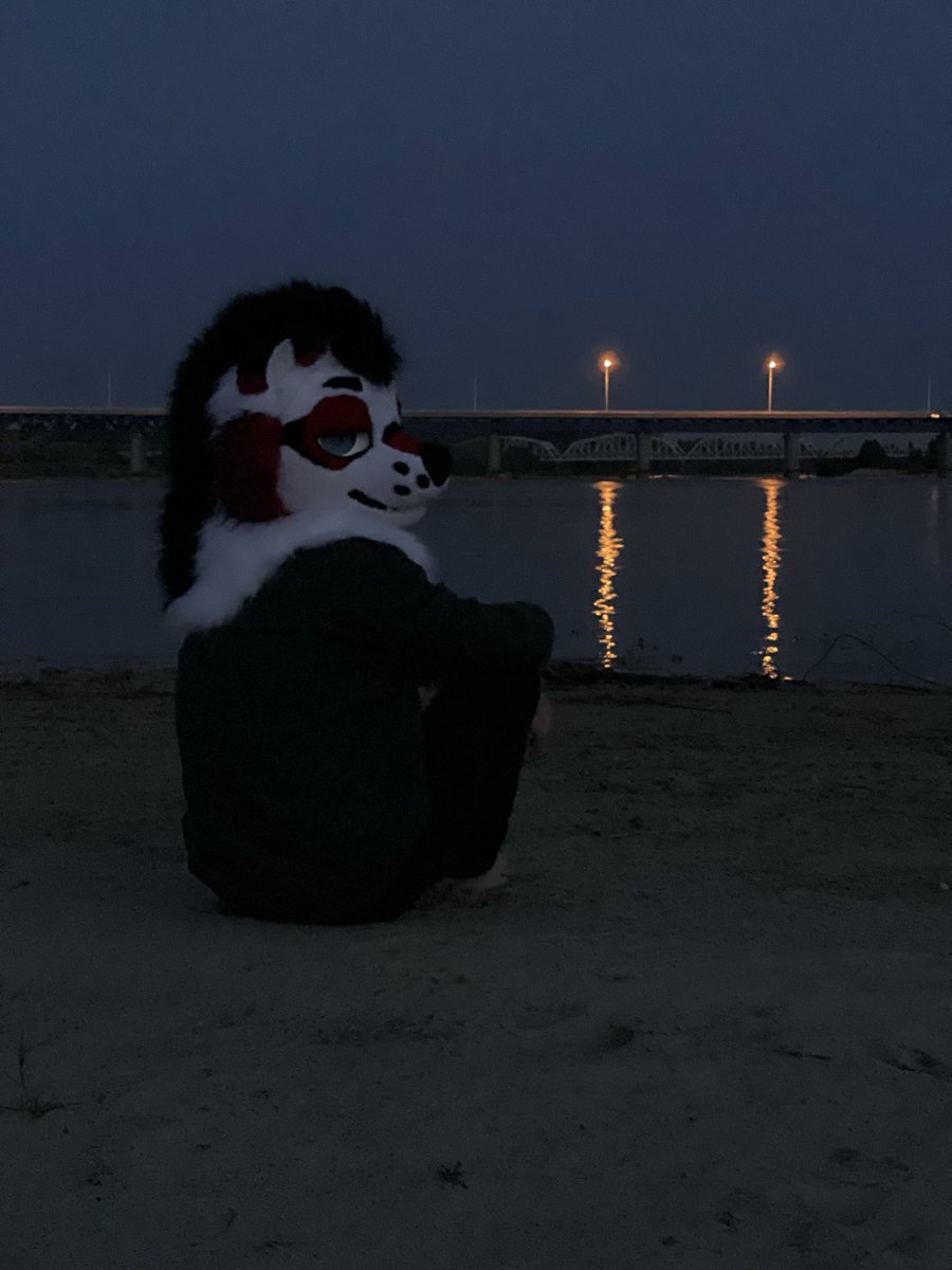 Cm here 
#FursuitFriday