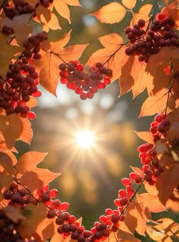 LilaPrzq's tweet photo. Buenos Días 
#MiMundoX
   Siempre es un Gusto pasar a Saludarles...
    Hay que Agradecer  lo que Dios nos Brinda Diariamente.
Solos o en Familia..
Disfruta al Máximo.
#FelizFinDeSemana .

Casa Día  Lleva una Nueva Esperanza..
  Cada Día Lleva un Nuevo Comienzo.
   Cafécito.. https://t.co/fBCRHfDraQ