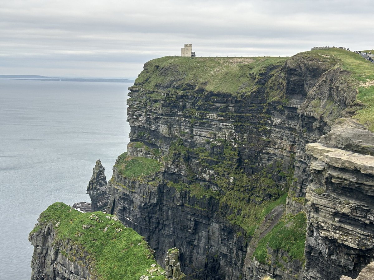 Nate Stein tweet media