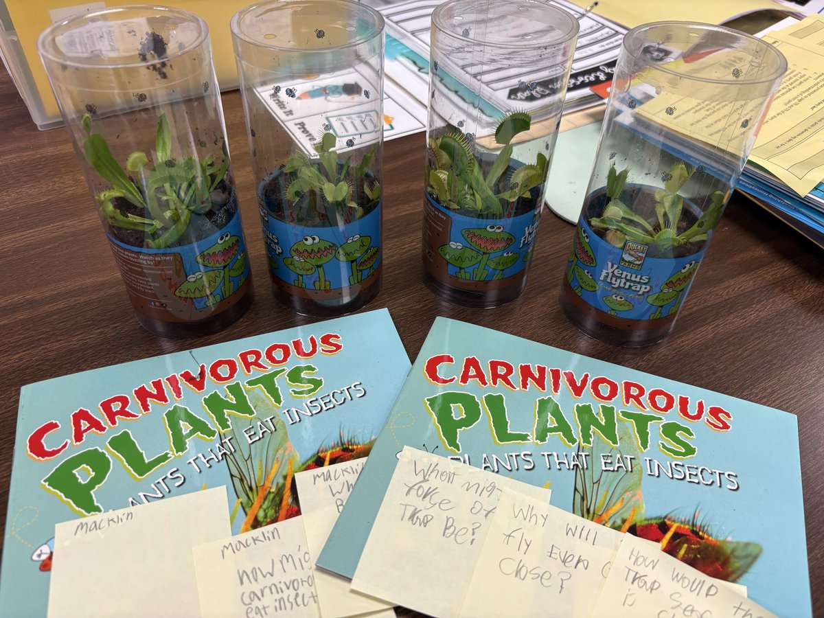 KDavis_5K's tweet photo. Bringing reading small group to life @PetroskyPirates 📚
@TheTeacherRoom 
Found these beauties @kroger 💃🏾#anchoredinlearning https://t.co/bvH6PqQaAa