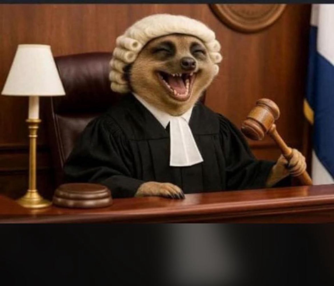 Judge: Mshukiwa, mashtaka yako ni gani?

Gen Z:  Niliitana Githinji, lakini hakuna mahali kwa ID yake anaitwa Githinji