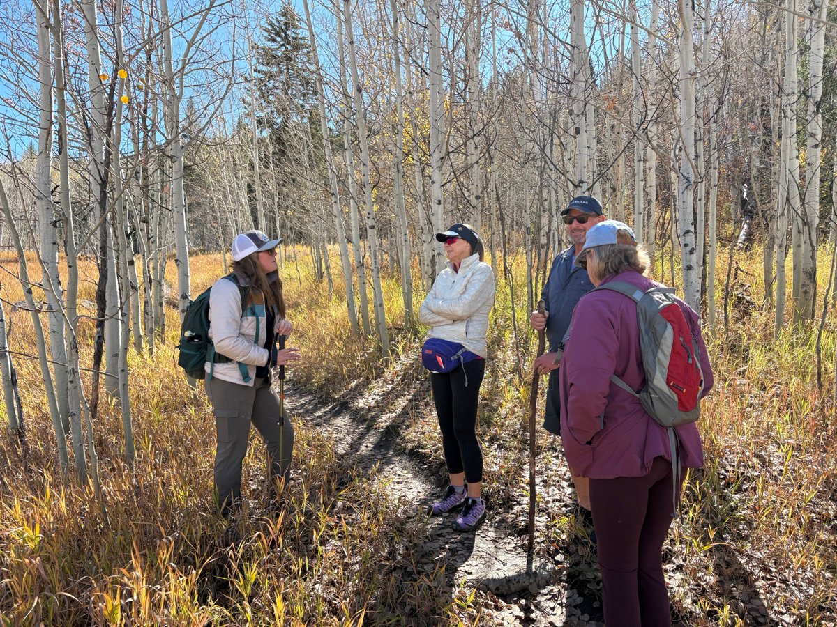 It was a gorgeous day for a fall hike yesterday! Thanks to all our members who came out. #catamountclub #fallhikeincolorado #steamboatsprings